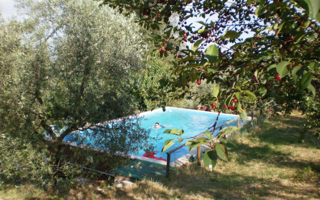 Agriturismo Podere Ficareto