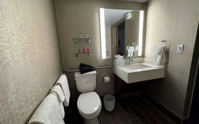 Skyline Hotel Detroit Airport, SureStay Collection by BW