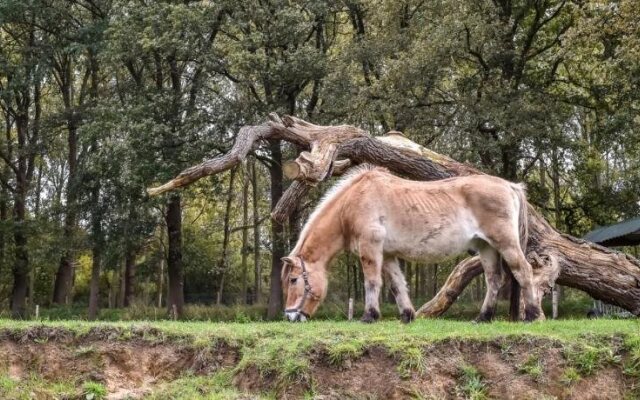 Buitenplaats Holten