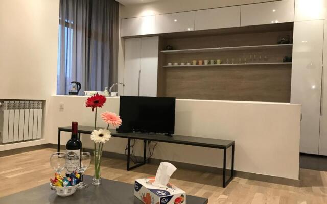 Metro apartment