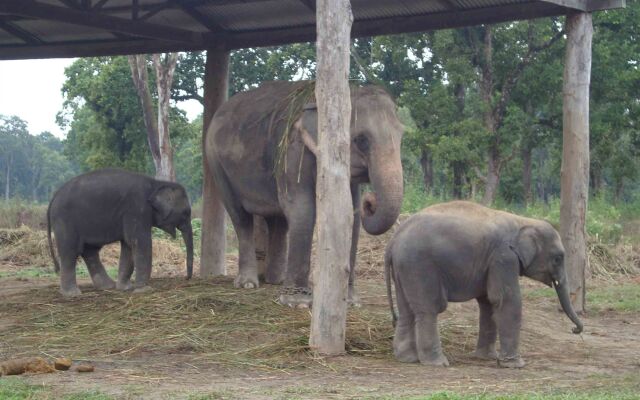 Kasara Jungle Lodge