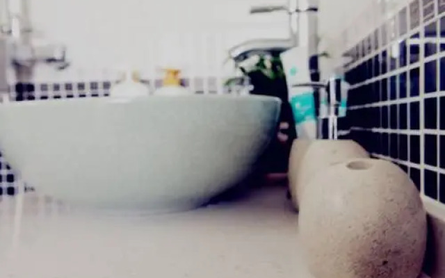 Dali Cactus Guest House