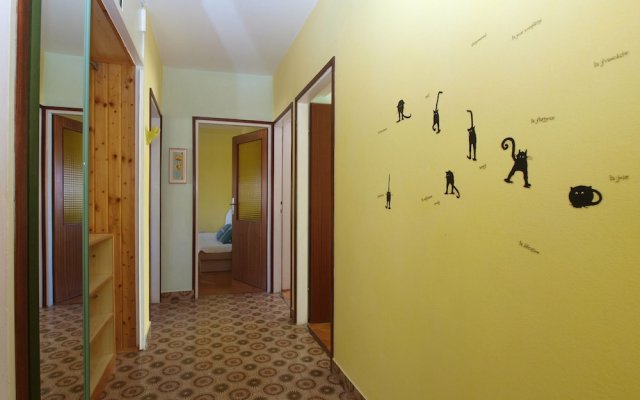 Apartment 686