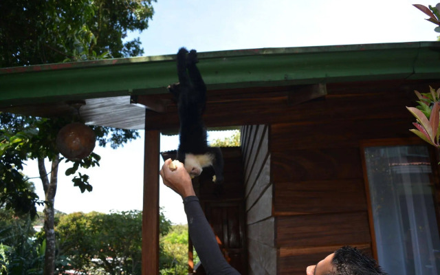 Santa Elena Hostel Resort