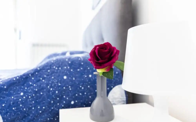 Trilocale Noverasco IEO 1