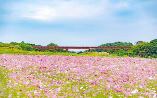Family Ryokan Kawakyu with Showa Retro, Private Hot Spring