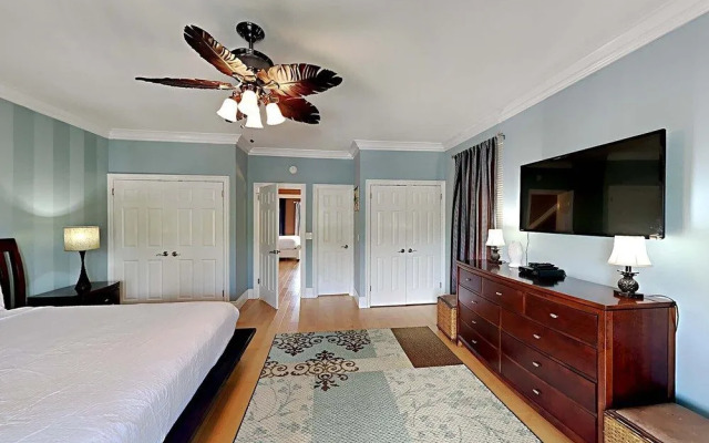 A Mid-summer's Night Dream