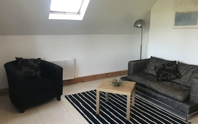 Apartment 10km From Kilkenny