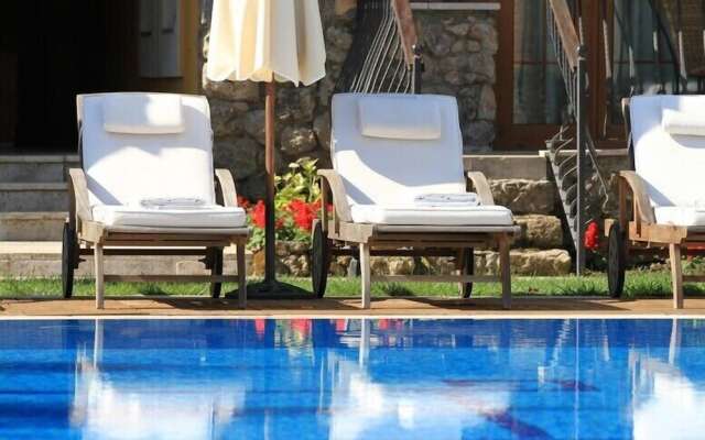 The Olive Tree Studios - Adults Only