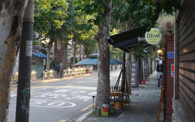 Hongdae Olive Guesthouse