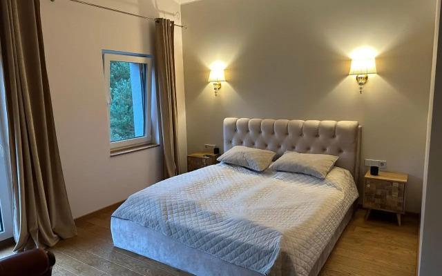 Bella luna vila Palanga with forest view
