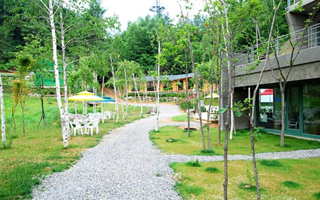 Pyeongchang The Sky Forest