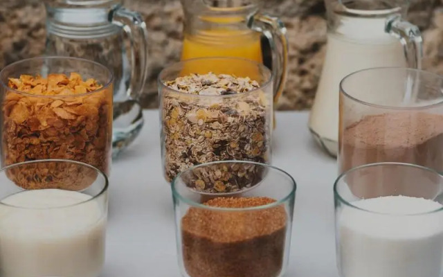 Ashavana Nest Hostel