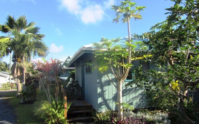 Aroa Kainga Bungalows