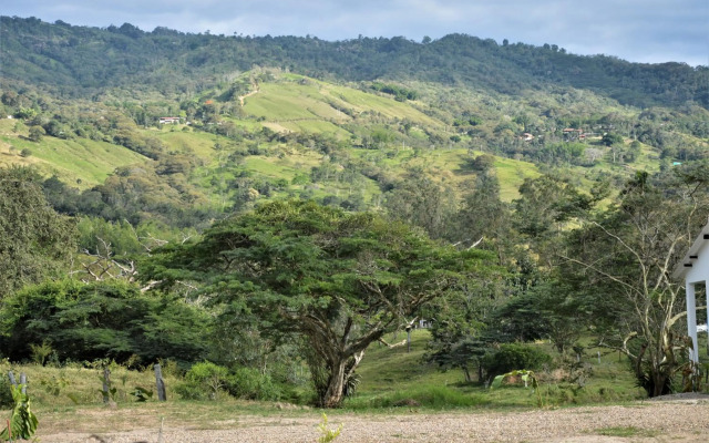 San Juan de los Guayabos