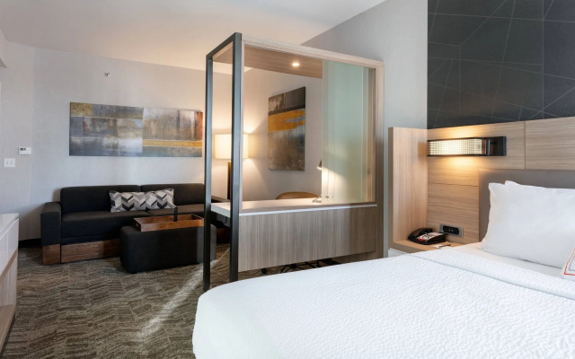 SpringHill Suites by Marriott Chattanooga South/Ringgold, GA