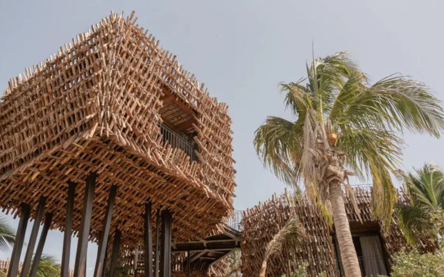 Nomade Holbox