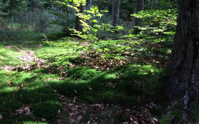 Un gîte dans la vallée