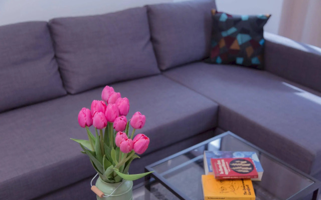 Shenkin Vilmar Apartments