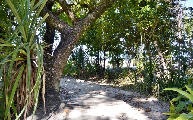 PKs Jungle Village - Hostel