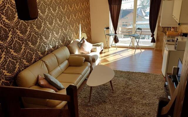 Prahova Valley Apartment
