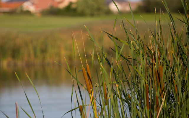 Phakalane Golf Estate Hotel Resort