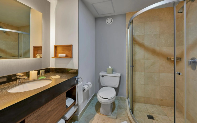 Hilton Garden Inn Mexico City Polanco