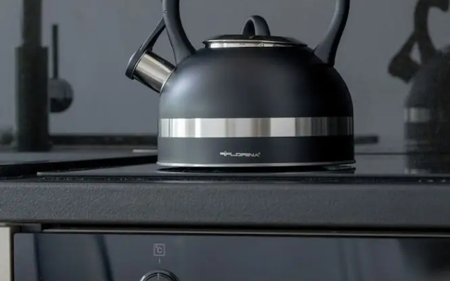 Cozy Apartment With Parking by Renters