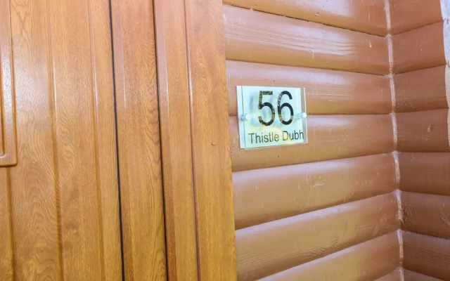 Thistle Dubh