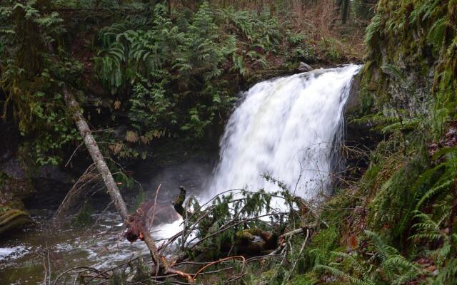 Eagle Rock Bed and Breakfast