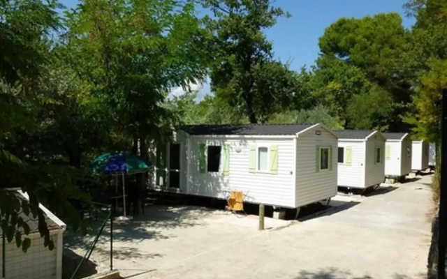 Camping Panoramic