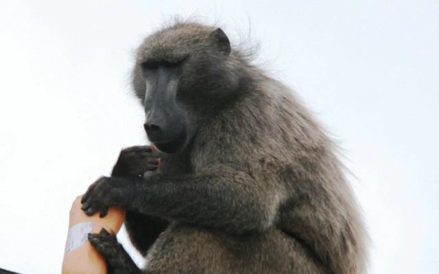 Simon's Town Guest House