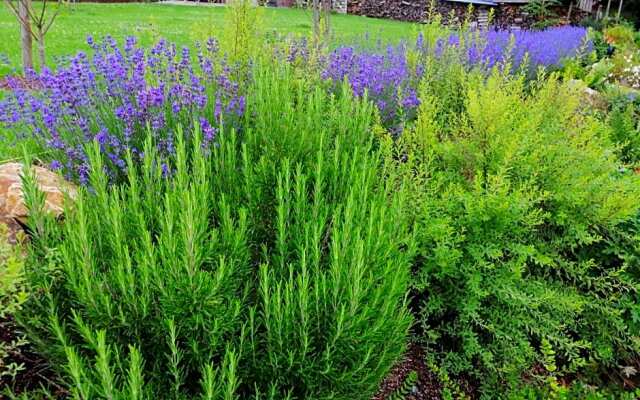 La cabane du chineur