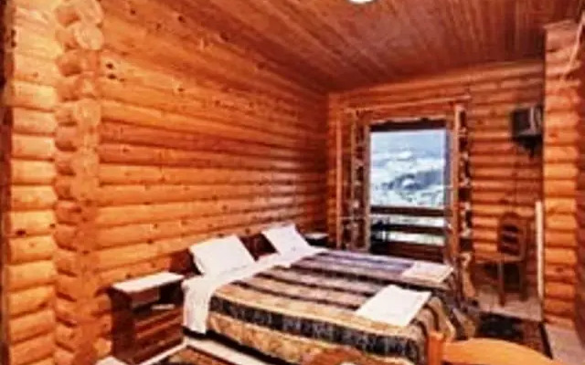 Diasalmi Apartments