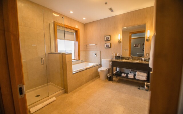 voco The Tiger Hotel Columbia, MO by IHG