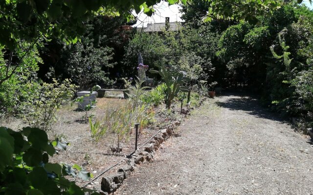 Beau Mas à Montolivet