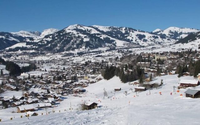Gstaad Switzerland Skiing From Exclusive Rougemont Chalet Apartment