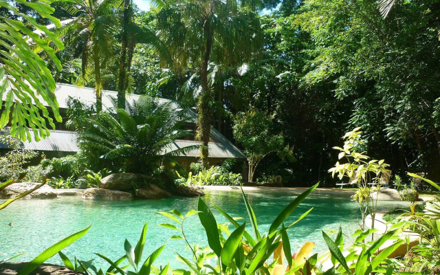 Ferntree Rainforest Lodge