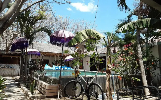 Dream Hotel