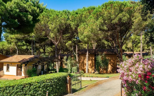 Residence with pool in Guardistallo