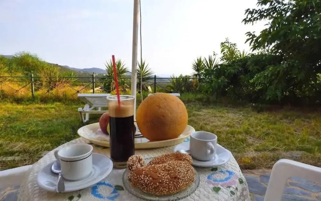 Garden Overlooking the Sea Near the Beaches
