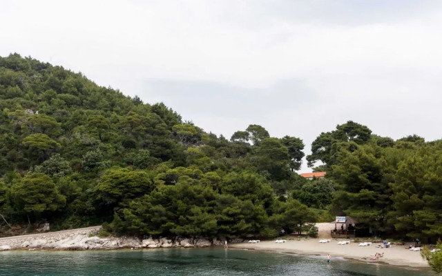 Apartments Skurla - Studio Apartman