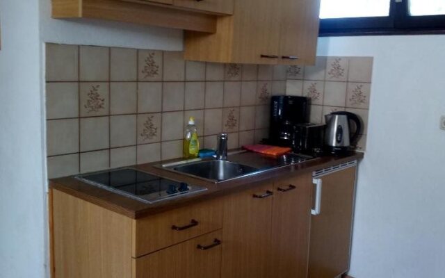 Apartment Waldhaus Opitz