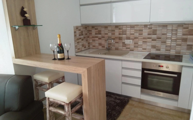 Biljana lux apartment