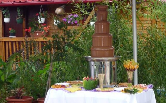 Pension Motanul Galanton