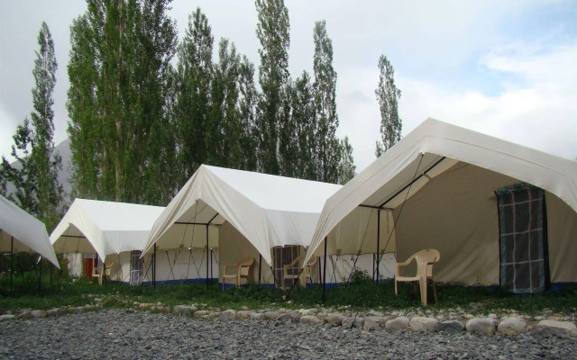 Double Humped Camp - Hunder