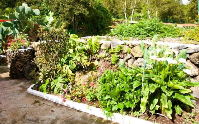 Vega Rural Garachico