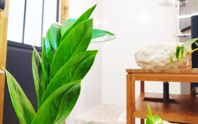 The Seven Motel Salazie à 15 min d'hell bourg