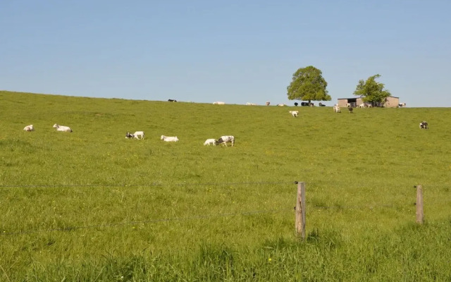 Holiday Home in Somme Leuze With Garden
