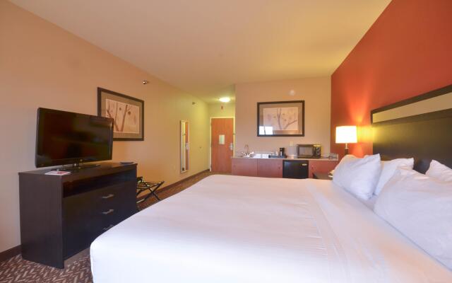 Holiday Inn Express Hotel & Suites Pine Bluff / Pines Mall, an IHG Hotel